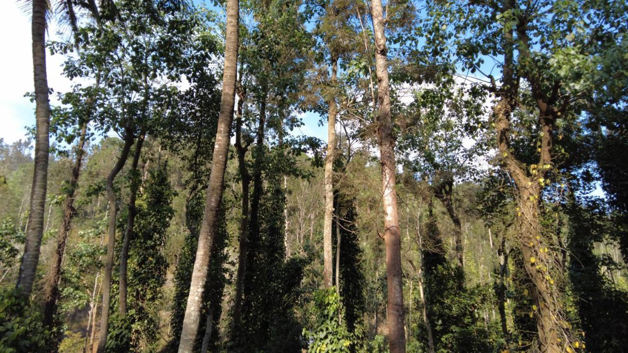 Seattle Garden Resort - Kollihills 外观 照片