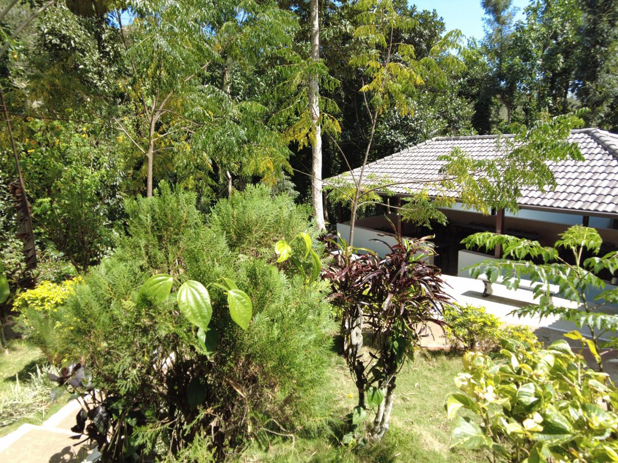 Seattle Garden Resort - Kollihills 外观 照片